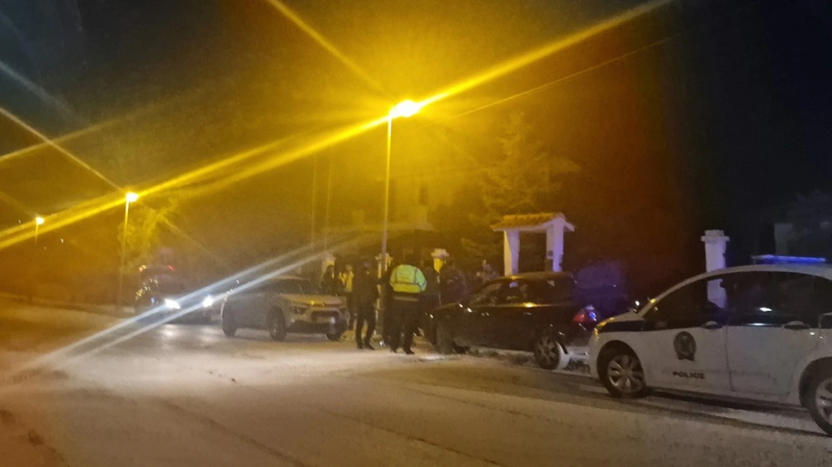 «Τη φώναξε στο αυτοκίνητο για να σκοτωθούν όλοι μαζί» λέει η θεία των διδύμων από το Μελισσοχώρι