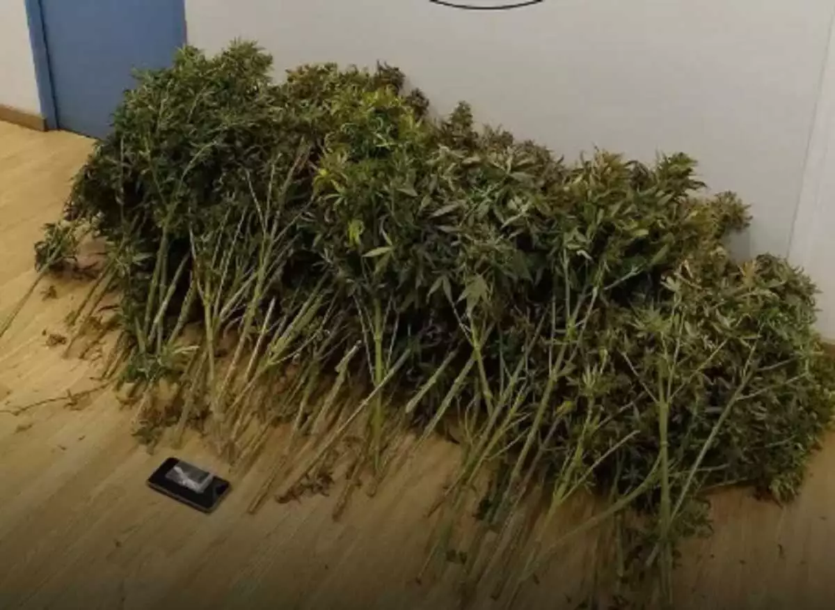 Συνελήφθη 41χρονος για ναρκωτικά και όπλα