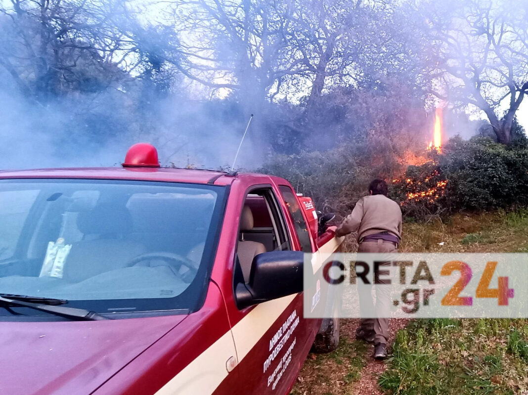 Κρήτη: Φωτιά σε χωράφι κινητοποίησε την Πυροσβεστική (εικόνες)