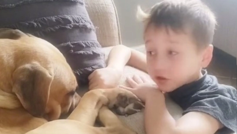 Ένας 7χρονος παρηγόρησε τον κακοποιημένο σκύλο που μόλις υιοθέτησε: «Θα σε αγαπάμε», του έλεγε (βίντεο)