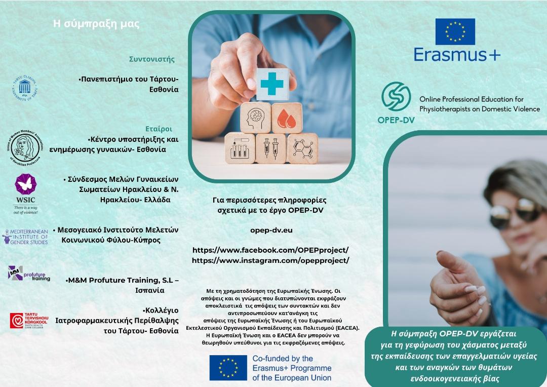 Διαδικτυακή έρευνα για το υπόβαθρο των φυσιοθεραπευτών σχετικά με την ενδοοικογενειακή βία