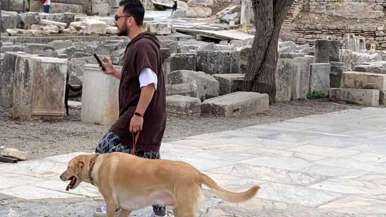 «Ναι» στην είσοδο ζώων συντροφιάς σε αρχαιολογικούς χώρους