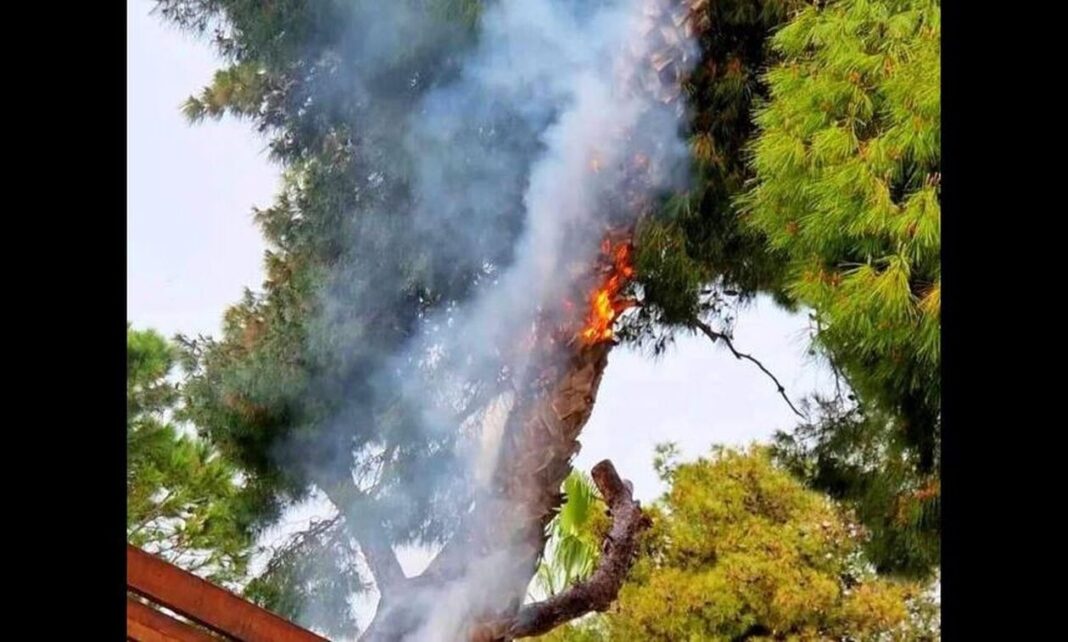 Κεραυνός έπεσε δίπλα σε καφετέρια - Πήραν φωτιά τα δέντρα