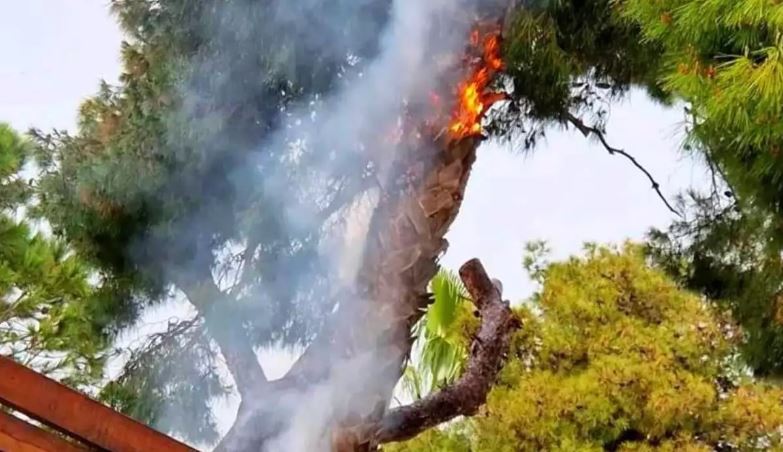 Φωτιά από κεραυνό σε πεύκο δίπλα σε καφετέρια