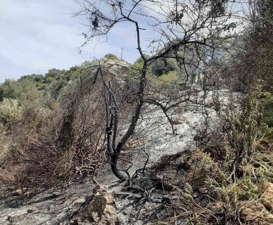 Ηράκλειο: 46χρονος έβαλε φωτιά και έκαψε ένα στρέμμα έκτασης