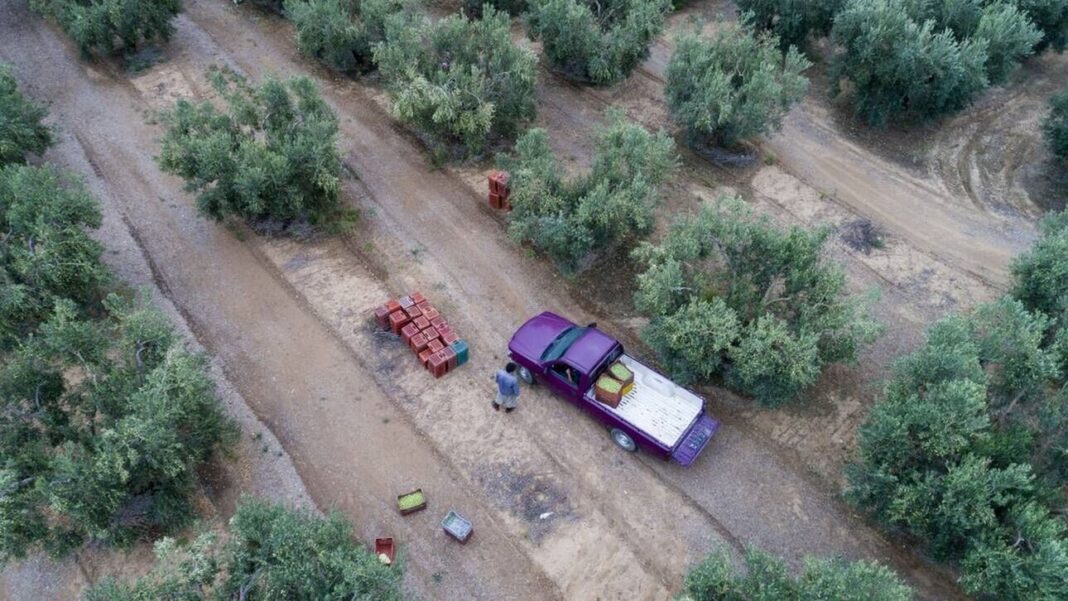 Επιστροφή ΦΠΑ σε αγρότες - Ποιοι είναι οι δικαιούχοι