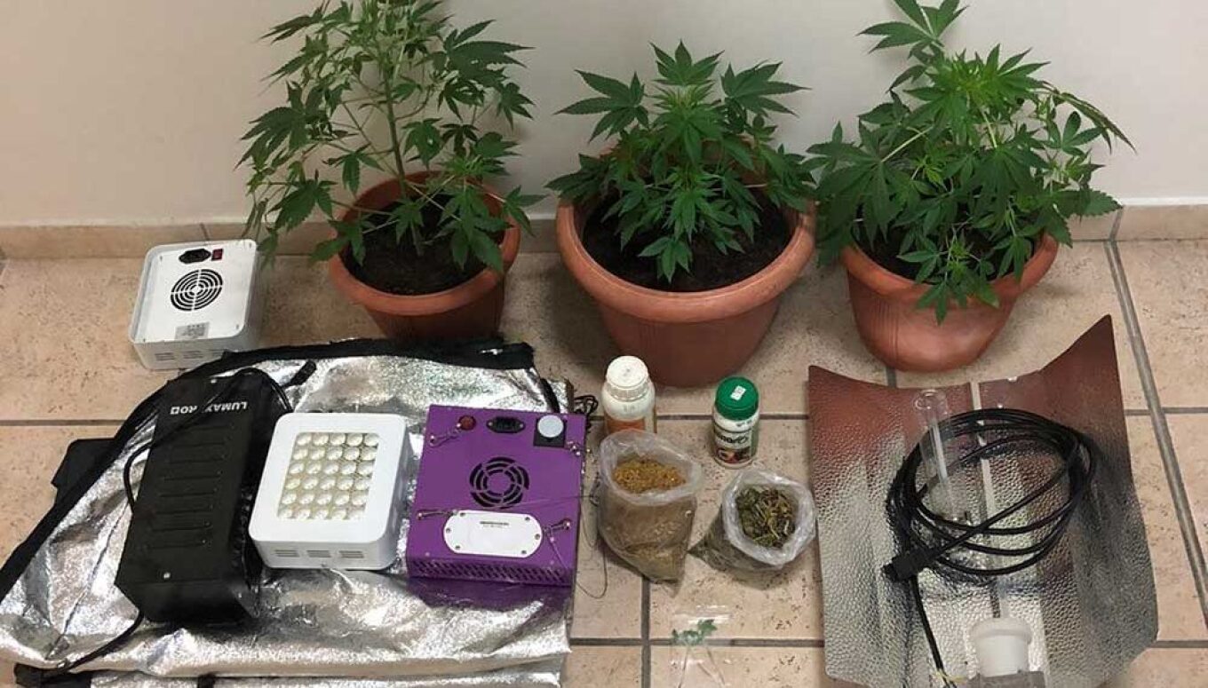 Μέσα σε ντουλάπα έστησε εργαστήριο για χασισόδεντρα