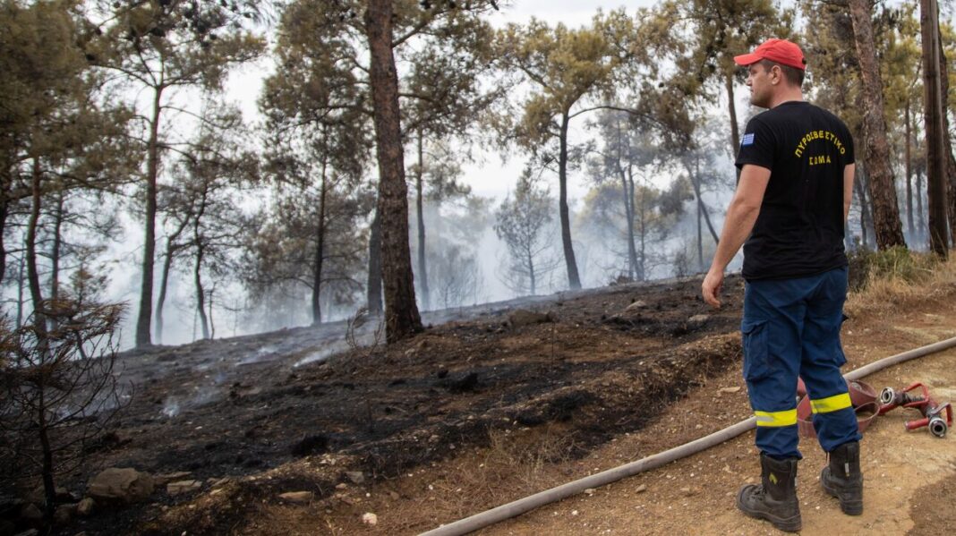 Αστεροσκοπείο: Στη μάχη για την πρόληψη των δασικών πυρκαγιών και η τεχνητή νοημοσύνη