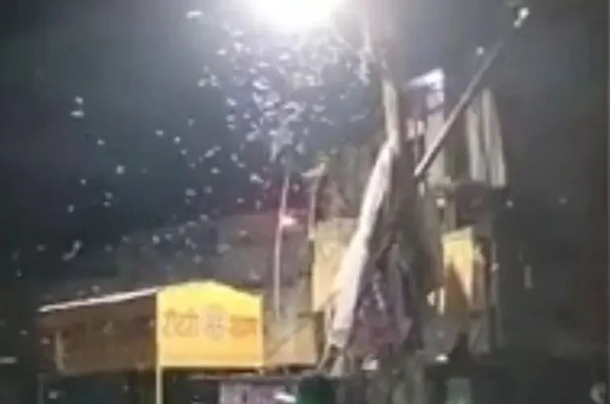 Η «βροχή από λευκά σκουλήκια» που τρομοκράτησε μια πόλη – Οι κάτοικοι άρχισαν να κλείνουν τα μαγαζιά τους