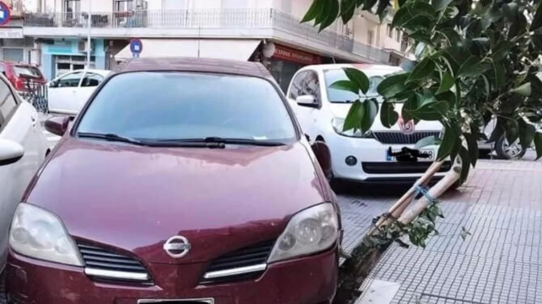 Πάρκαρε το αυτοκίνητό του πάνω σε κορμό δέντρου και τον μήνυσε ο δήμος