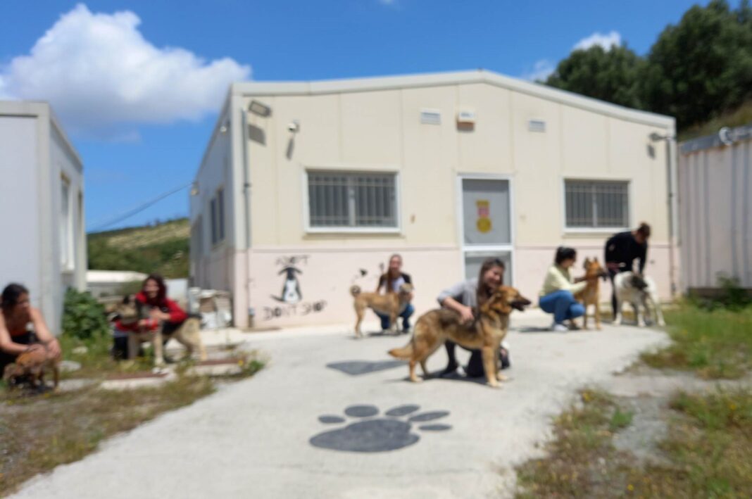 Διευρύνεται το ωράριο λειτουργίας στο κυνοκομείο του Δήμου Ηρακλείου