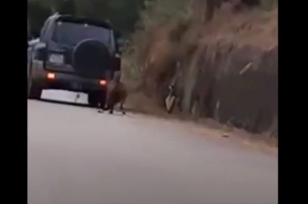 Νέα κτηνωδία: Έσερνε κατσίκα με το αυτοκίνητό του (βίντεο)