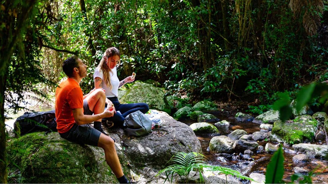 Το φυσικό φάρμακο που ρίχνει την πίεση και μειώνει το άγχος