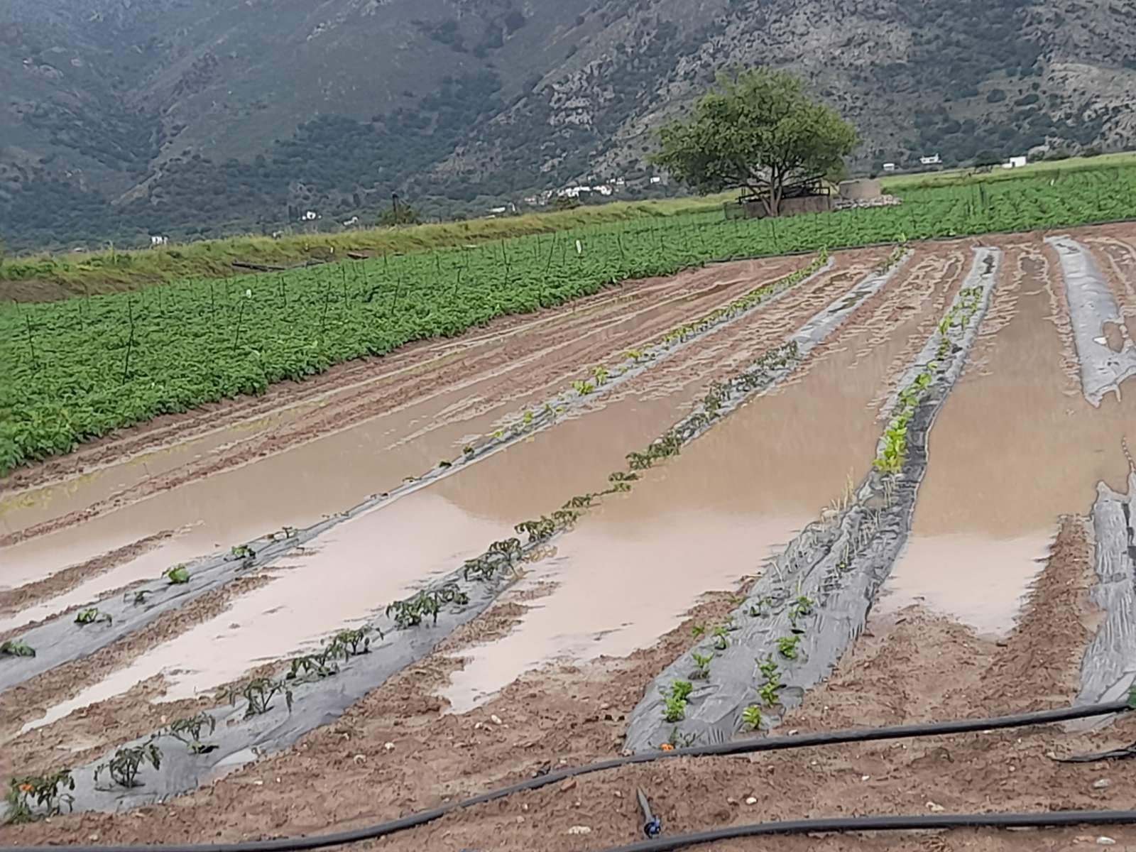 Τεράστιες καταστροφές από την κακοκαιρία στο Οροπέδιο Λασιθίου