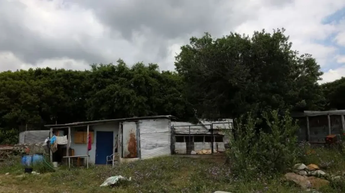 Είχε μαρτυρικό θάνατο όπως ήταν και η ζωή της, λέει ο αδερφός της 68χρονης κτηνοτρόφου