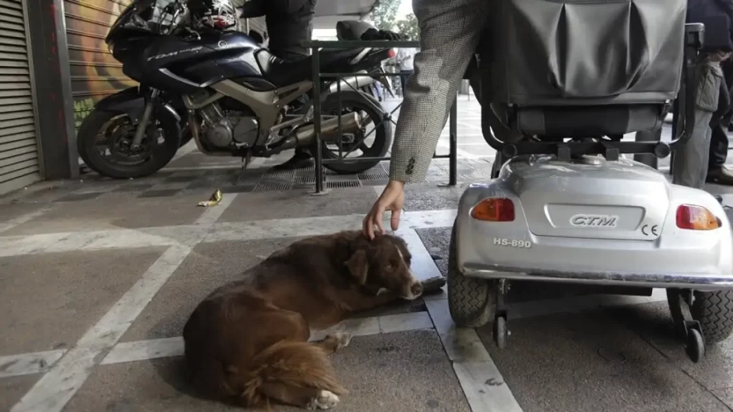 Κλιματική αλλαγή: Τα άτομα με αναπηρία επηρεάζονται «δυσανάλογα» από την ακραία ζέστη