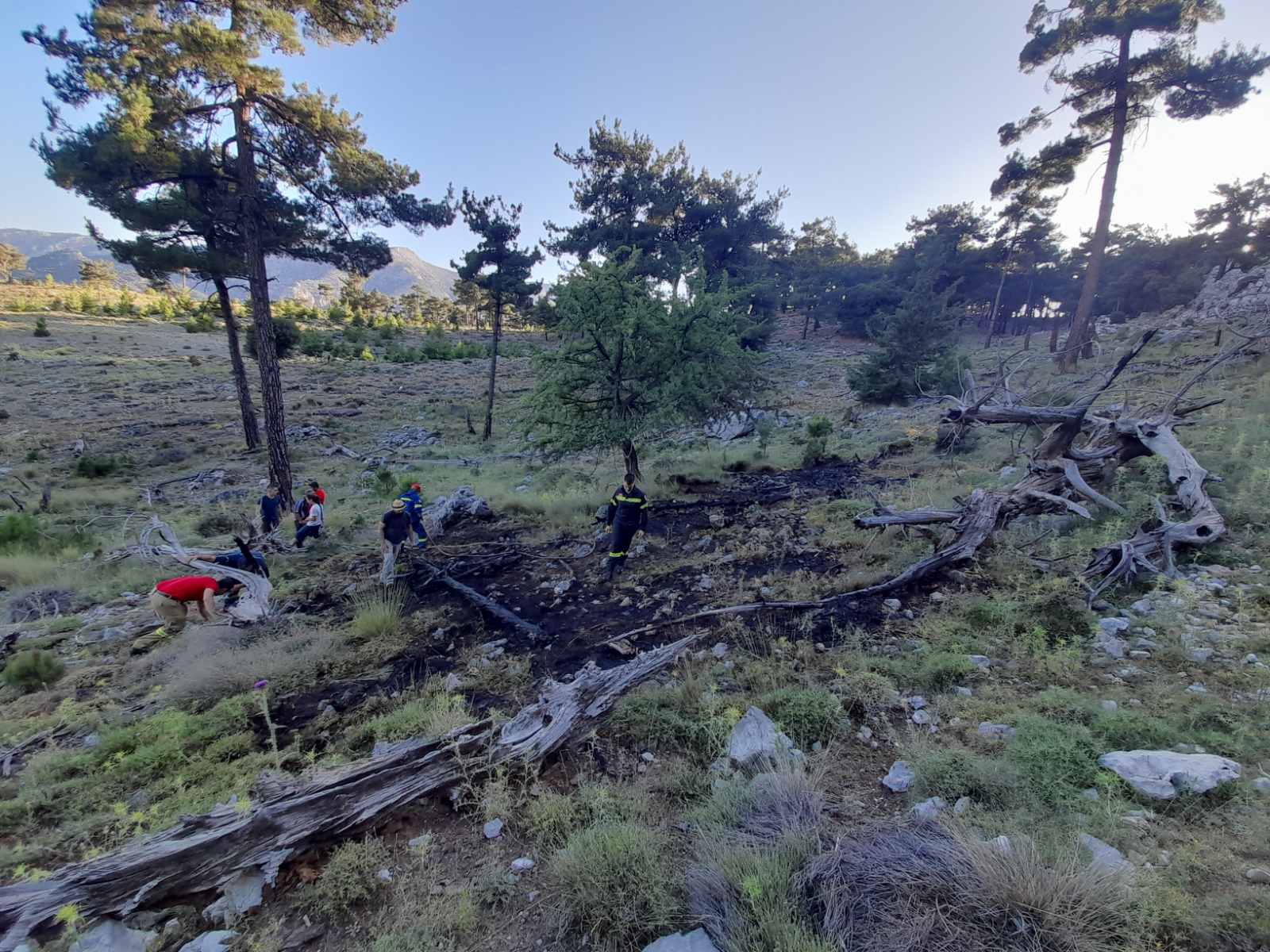 Κρήτη: Συναγερμός στην πυροσβεστική για πυρκαγιά