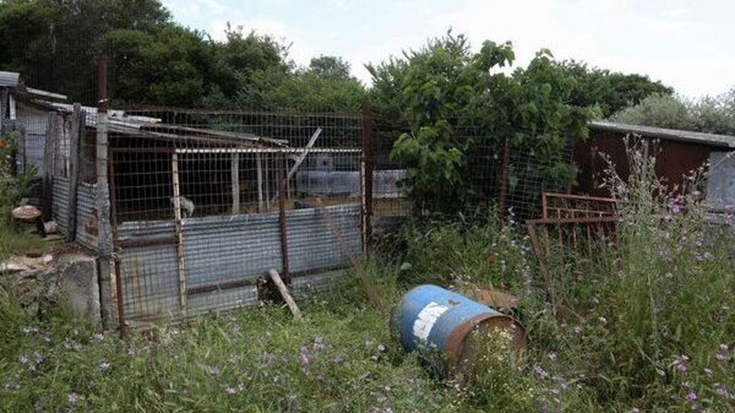 Μυστήριο με τον θάνατο της 68χρονης κτηνοτρόφου στην Καβάλα – Τα δύο σενάρια