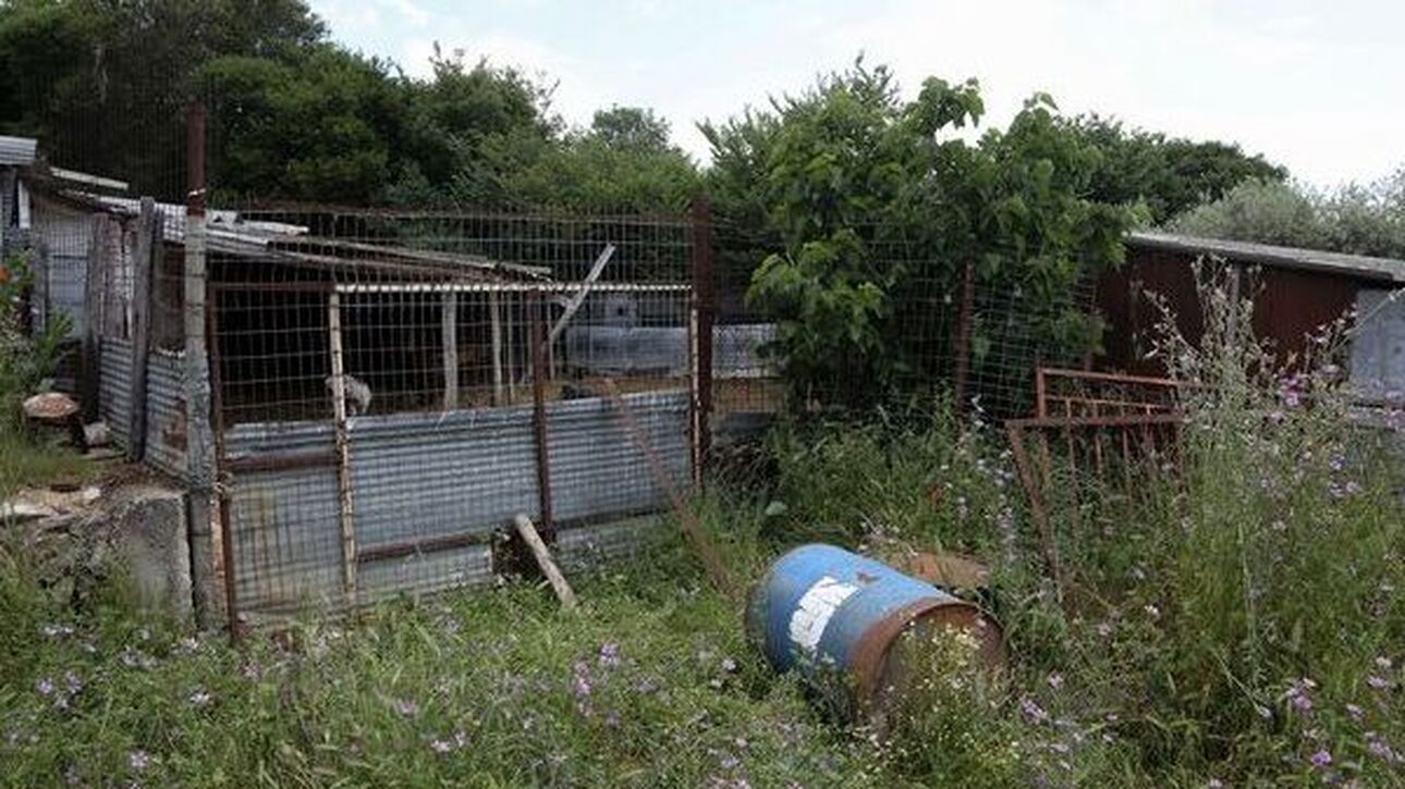 Μυστήριο με τον θάνατο της 68χρονης κτηνοτρόφου στην Καβάλα – Τα δύο σενάρια