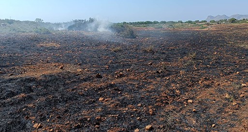 Κρήτη: Πυρκαγιά σε χωράφι κατέστρεψε μεγάλη έκταση (εικόνες - βίντεο)