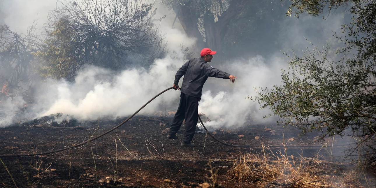 Υπό μερικό έλεγχο η φωτιά στο Κοκκινοχώρι Καβάλας -Η τελευταία ενημέρωση της Πυροσβεστικής