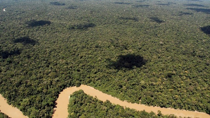 Μειώθηκε κατά 31% η αποψίλωση του βραζιλιάνικου τμήματος του τροπικού δάσους του Αμαζονίου