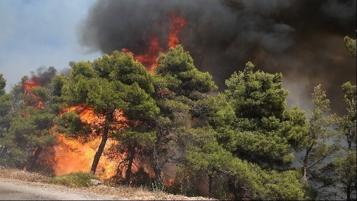 Νέο πανευρωπαϊκό δίκτυο για την μελέτη και την πρόγνωση των ακραίων δασικών πυρκαγιών