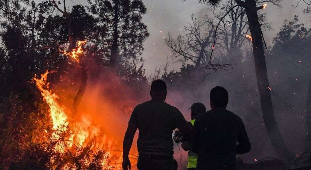 Πυρκαγιές στην Αλγερία: Τουλάχιστον 34 νεκροί και δεκάδες τραυματίες