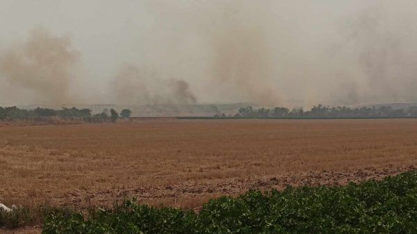 Φωτιές στη Μαγνησία: Επιχείρηση απεγκλωβισμού εργαζομένων σε εργοστάσιο