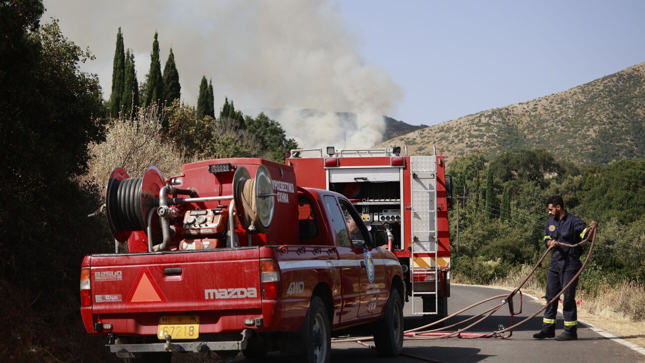 Υπό πλήρη έλεγχο η φωτιά στα Αργυραίικα του Πηλίου – Κάηκαν 300 ελαιόδεντρα
