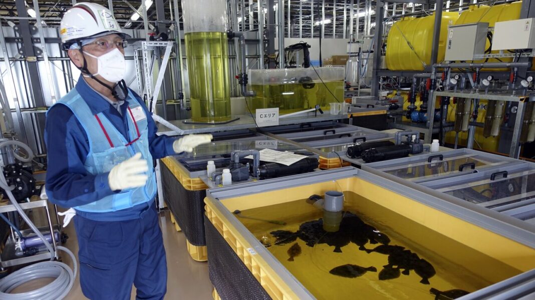 Η Κίνα απαγορεύει τις εισαγωγές θαλασσινών από την Ιαπωνία, λόγω Φουκουσίμα