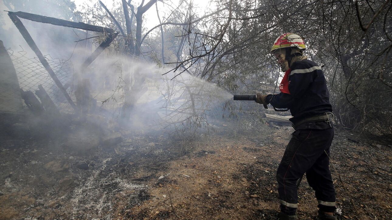 Φονικές πυρκαγιές και καύσωνας στην Αλγερία