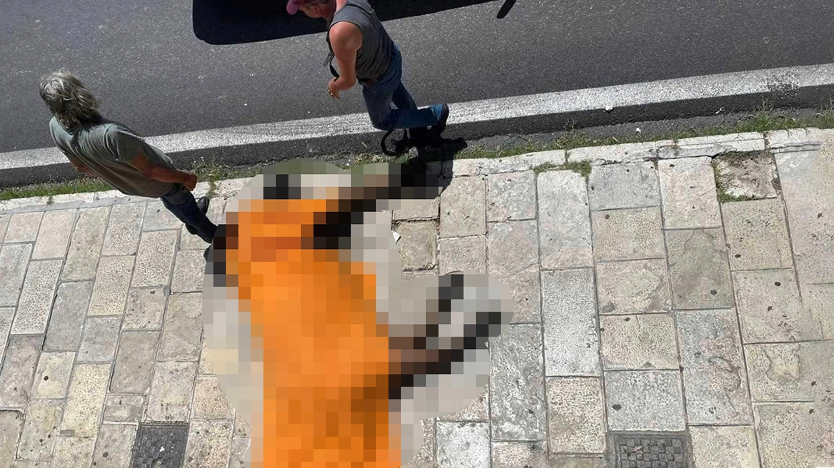 Εισαγγελική παρέμβαση για το νεκρό άλογο - Πρόστιμο 30.000 και προκαταρκτική εξέταση