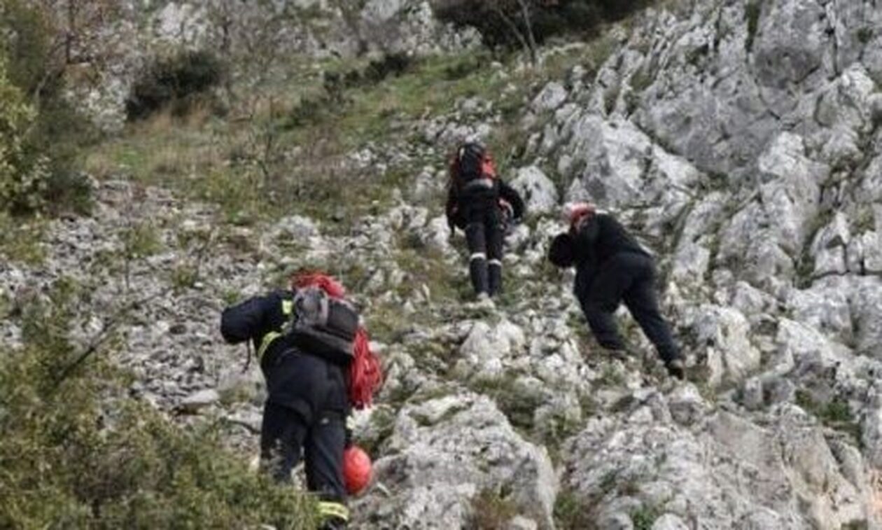 Σκύλος της ΕΜΑΚ και drones στις έρευνες για τον εντοπισμό πατέρα και γιου που αγνοούνται