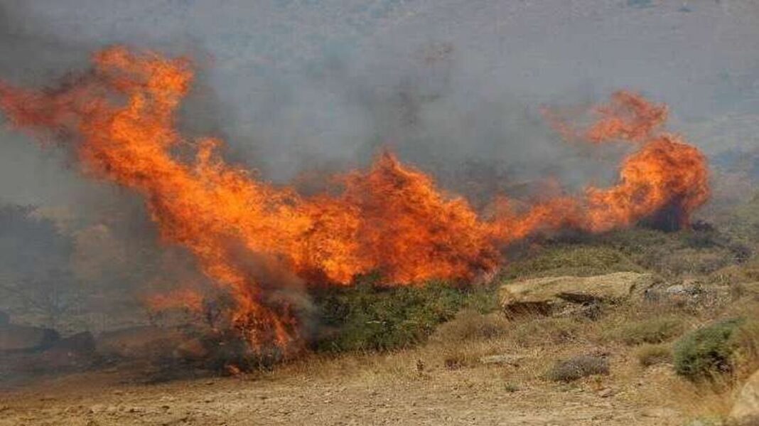 Υψηλός κίνδυνος πυρκαγιάς και σήμερα – Συναγερμός σε Πυροσβεστική και Πολιτική Προστασία