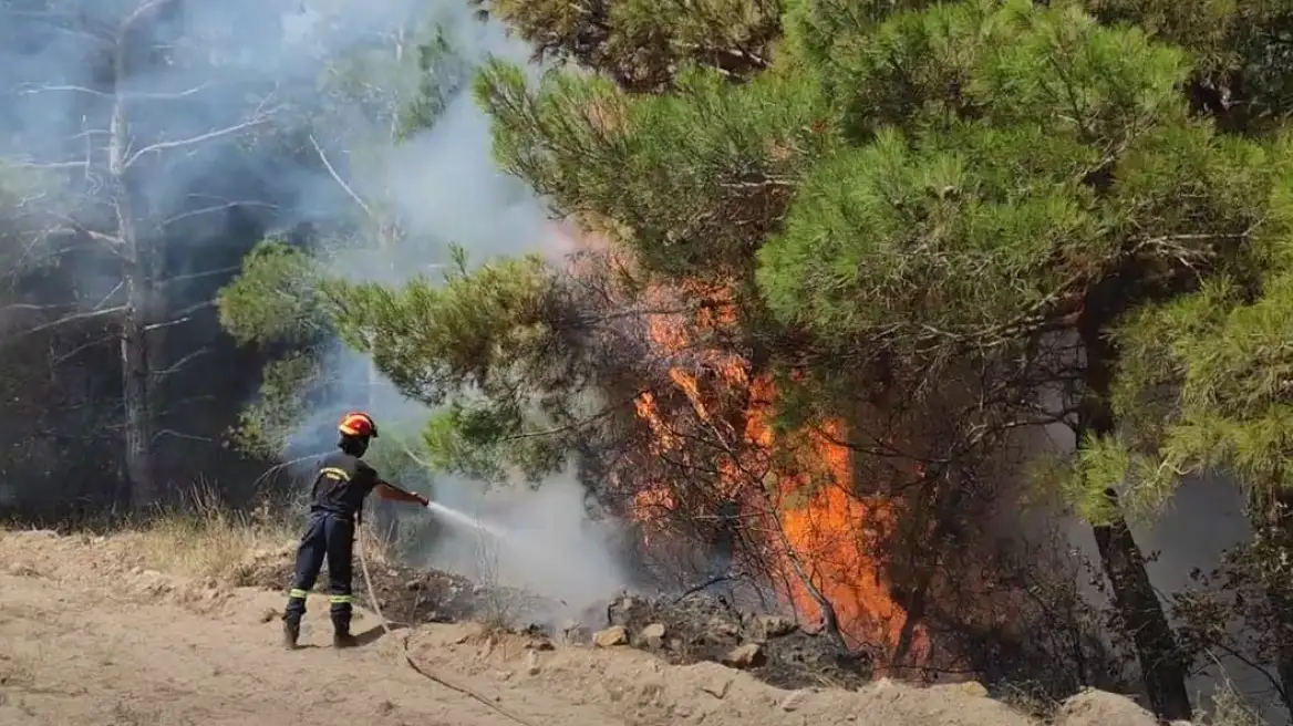 Φωτιά σε δασική έκταση - Σηκώθηκαν αεροσκάφη για την κατάσβεση