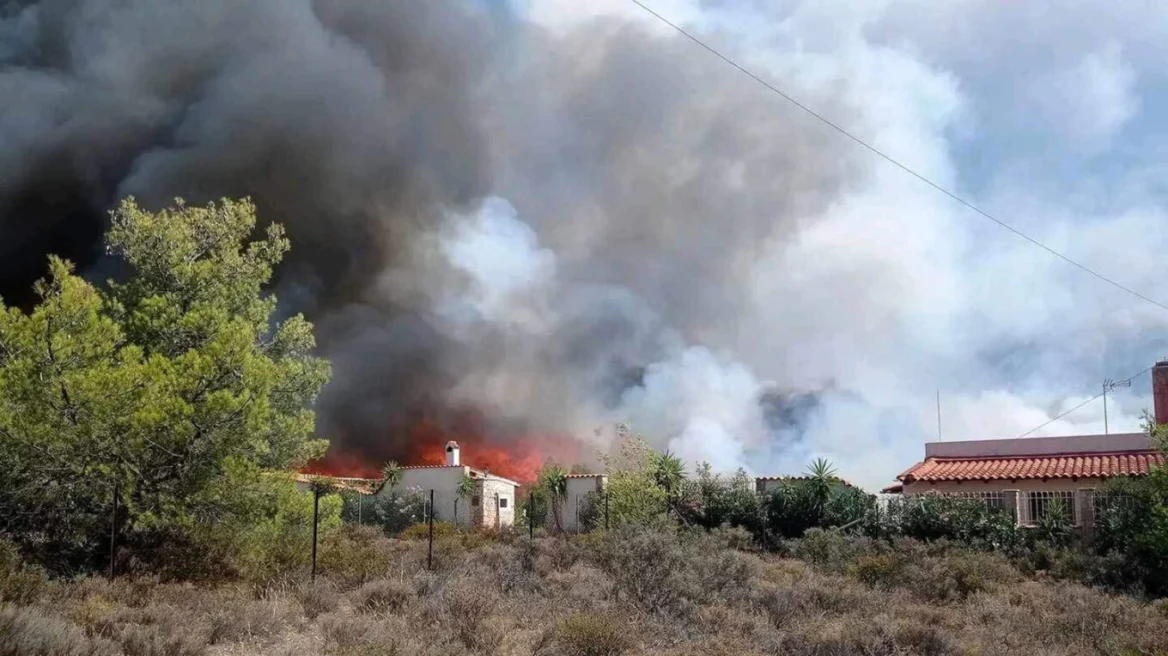 Φωτιά στο Βελεστίνο: Αγνοείται 45χρονος βοσκός στον Άγιο Γεώργιο Φερρών