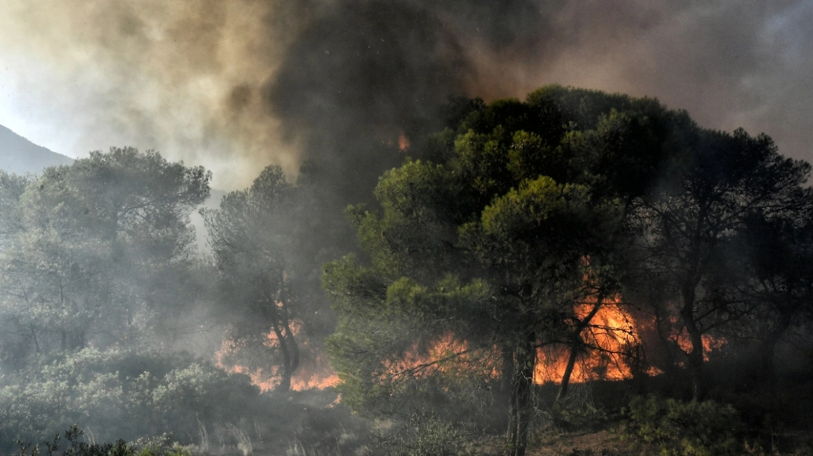 Φωτιά στη Μαγνησία: Εντοπίστηκε νεκρή γυναίκα στο Χοροστάσι