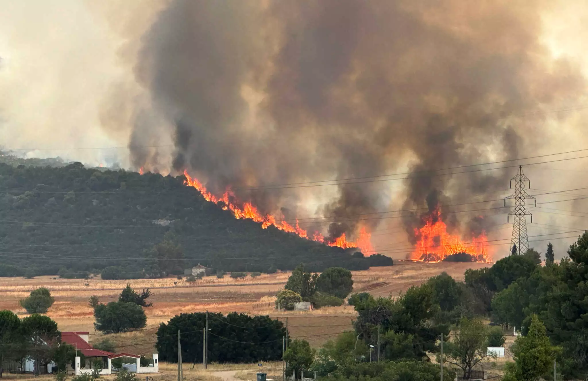 Φωτιά στο Βελεστίνο: Καίγονται σπίτια στον Άγιο Γεώργιο Φερών
