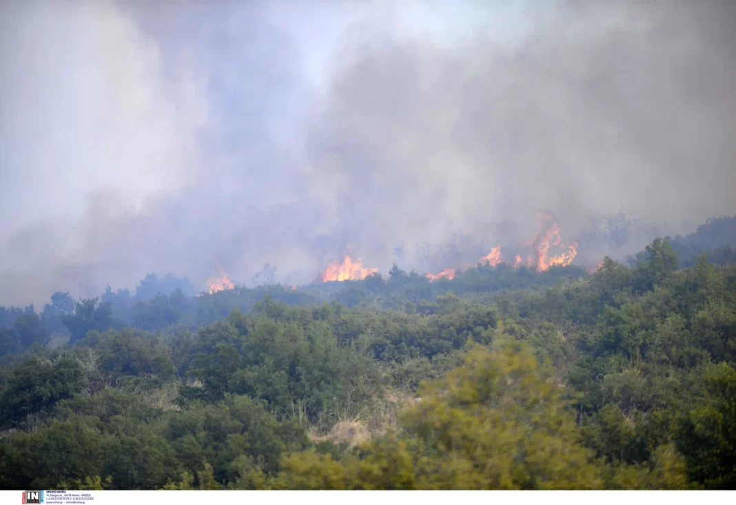 Φωτιά στη Μεσσηνία: Μια Σύλληψη για πρόκληση πυρκαγιάς από αμέλεια