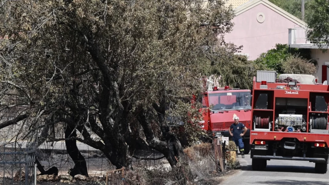 Φωτιά στην Κέρκυρα: Έφτασαν στο νησί οι πυροσβέστες από τη Βουλγαρία