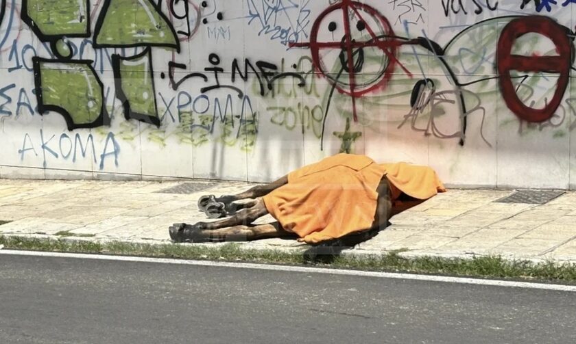 Συνελήφθη ο ιδιοκτήτης του αλόγου που ξεψύχησε στο δρόμο
