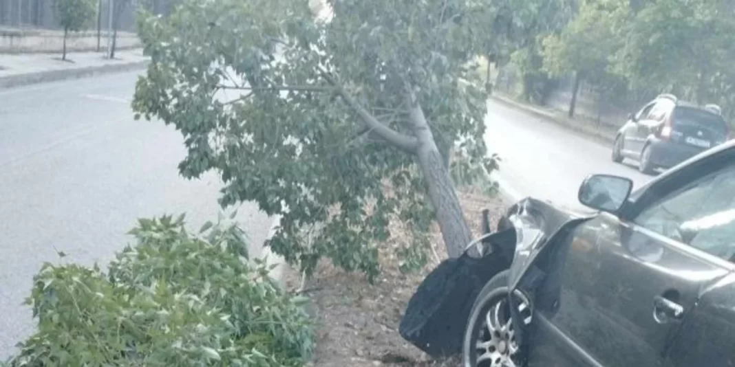 Σοβαρό τροχαίο: Οδηγός έχασε τον έλεγχο, καβάλησε το κράσπεδο και ξήλωσε δέντρα (εικόνες)