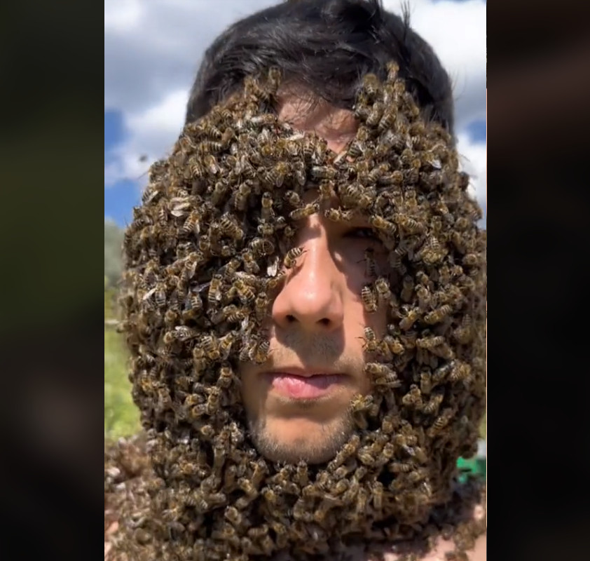 Viral στο TikTok μελισσοκόμος που αφήνει χιλιάδες μέλισσες να κάτσουν πάνω στο κορμί του