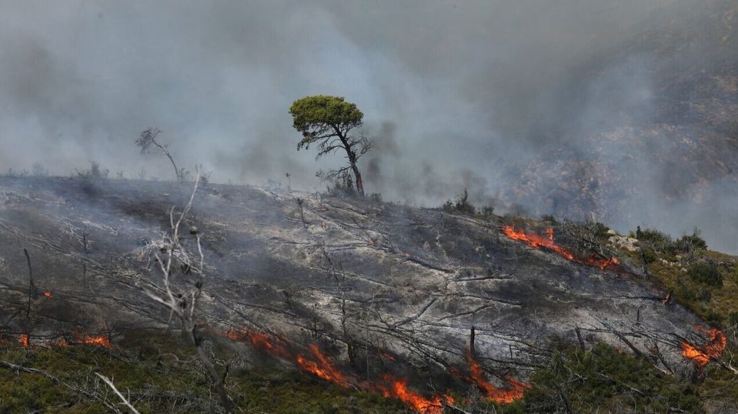 Ποιες περιοχές εμφανίζουν ακραίο κίνδυνο πυρκαγιάς σήμερα – Στο «πορτοκαλί» η Κρήτη