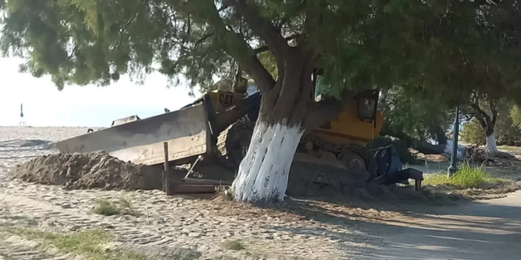 Κατέστρεψαν ράμπες ΑμεΑ και ξερίζωσαν δένδρα σε παραλία (εικόνες)