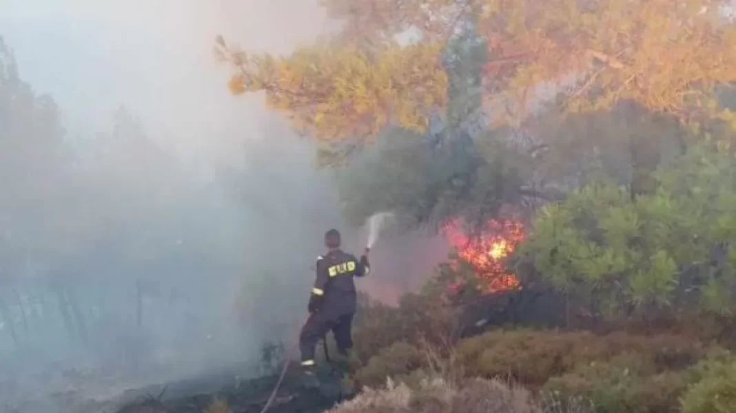 Ρόδος: Σε δύο μέτωπα η φωτιά που καίει παρθένο δάσος – Ένας τραυματίας
