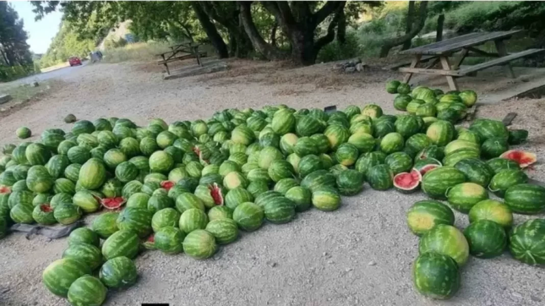 Έκλεψε φορτηγό με καρπούζια και τα… πέταξε όλα για να «φορτώσει» μετανάστες