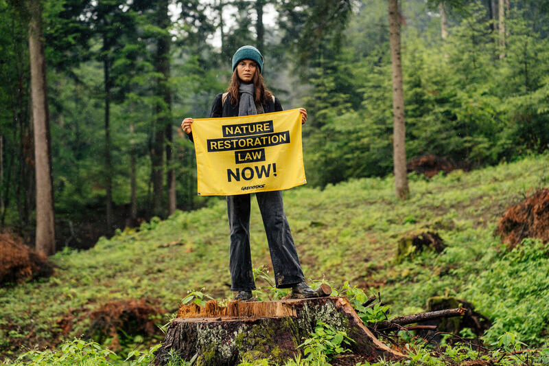 Greenpeace: Το Ευρωπαϊκό Κοινοβούλιο υπερψήφισε νόμο-ορόσημο για την αποκατάσταση της φύσης της Ευρώπης!