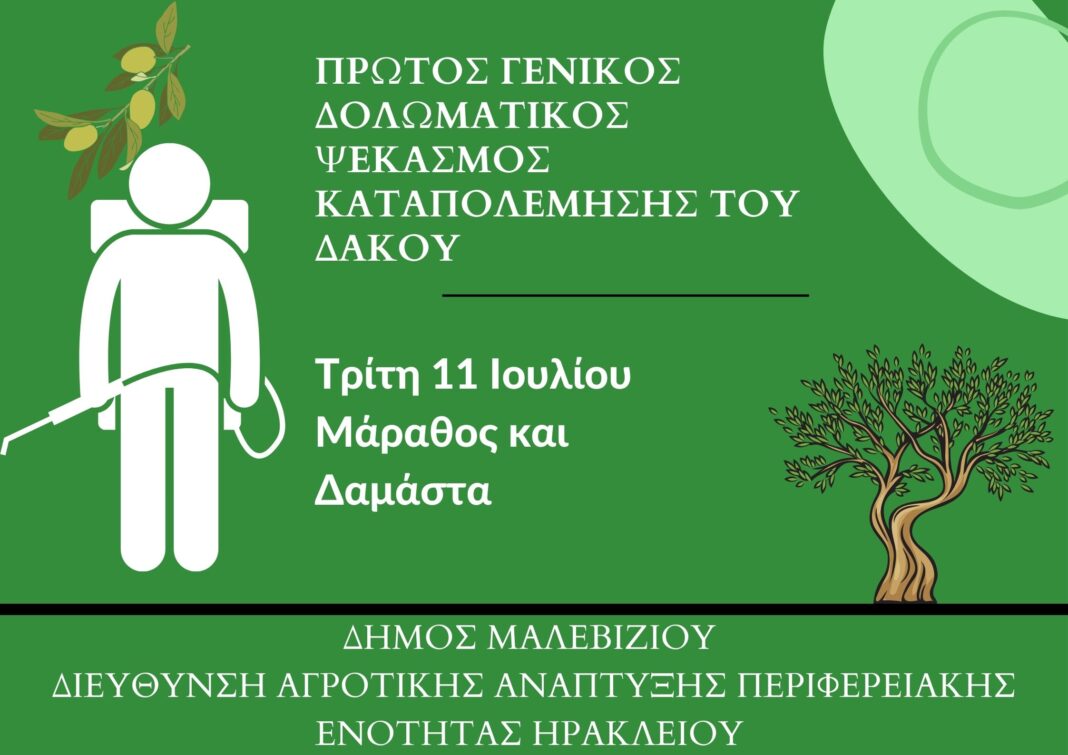 Πρώτος γενικός δολωματικός ψεκασμός καταπολέμησης του δάκου σε Δαμάστα και Μάραθος